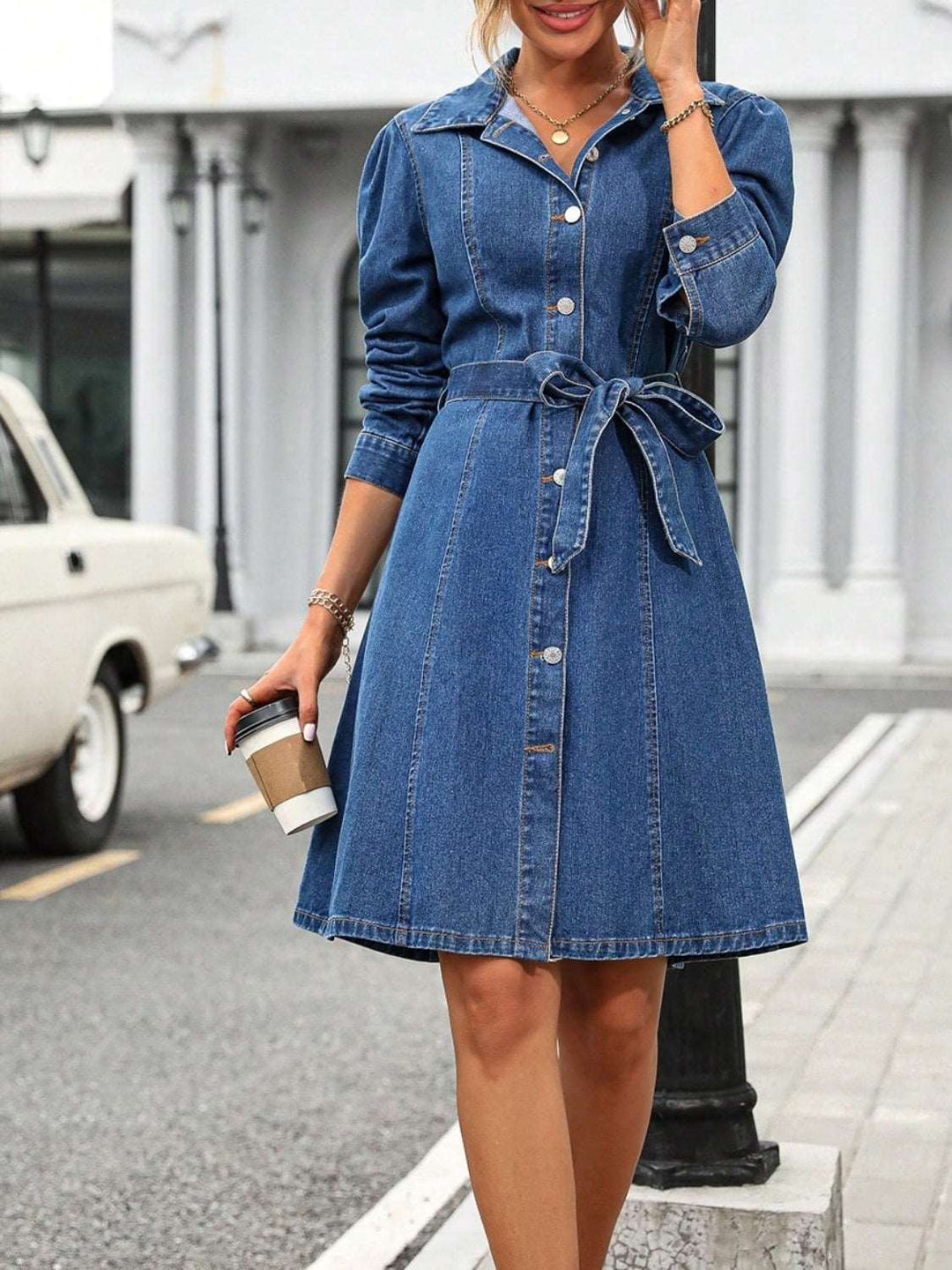 Button Down Long Sleeve Denim Dress